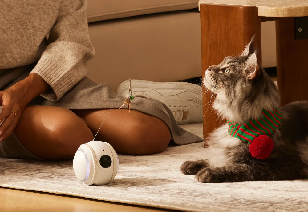 wireless pet monitoring camera