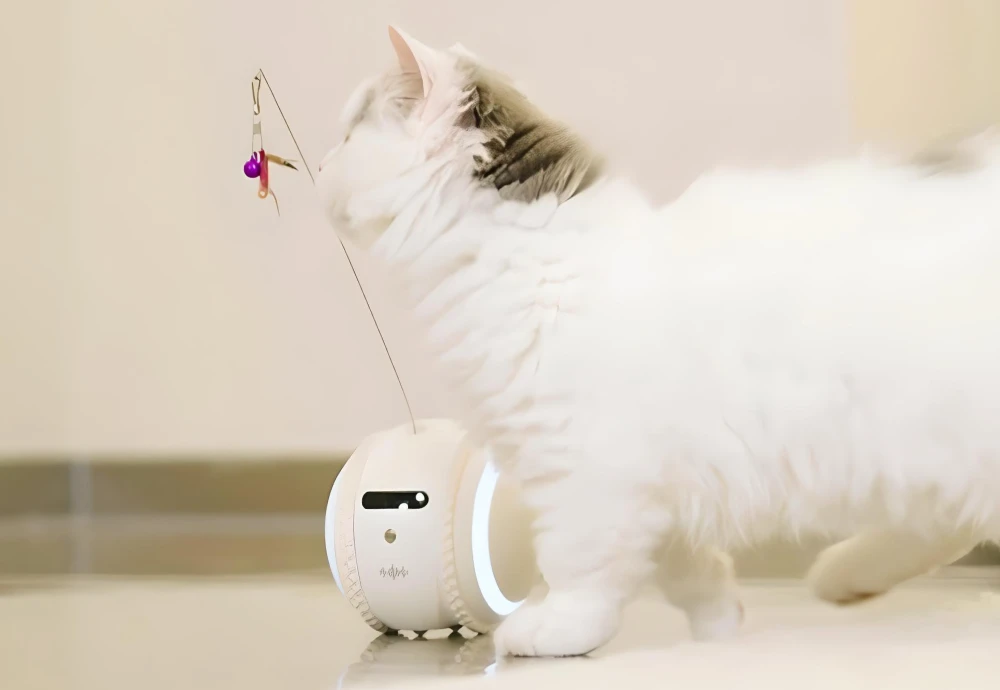 best pet surveillance camera