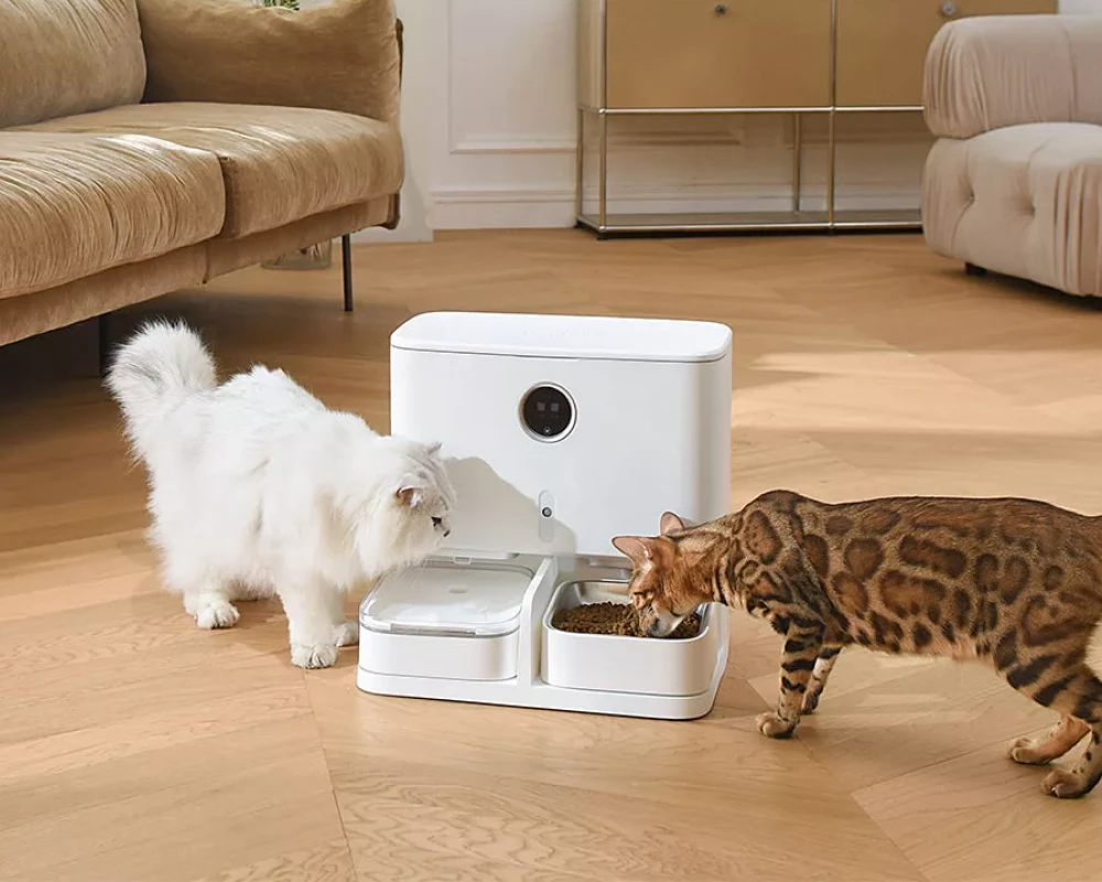 pets automatic feeder