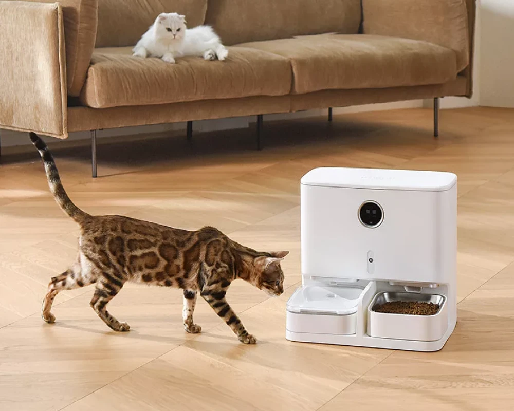 automatic pet water feeder