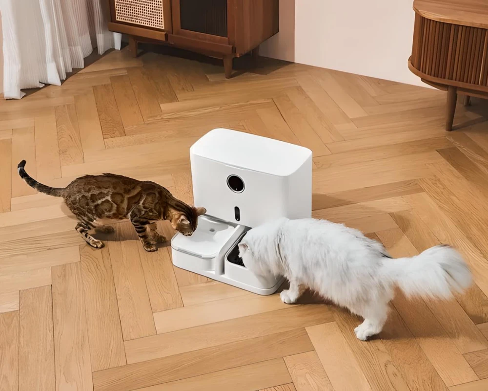 cat feeder with camera